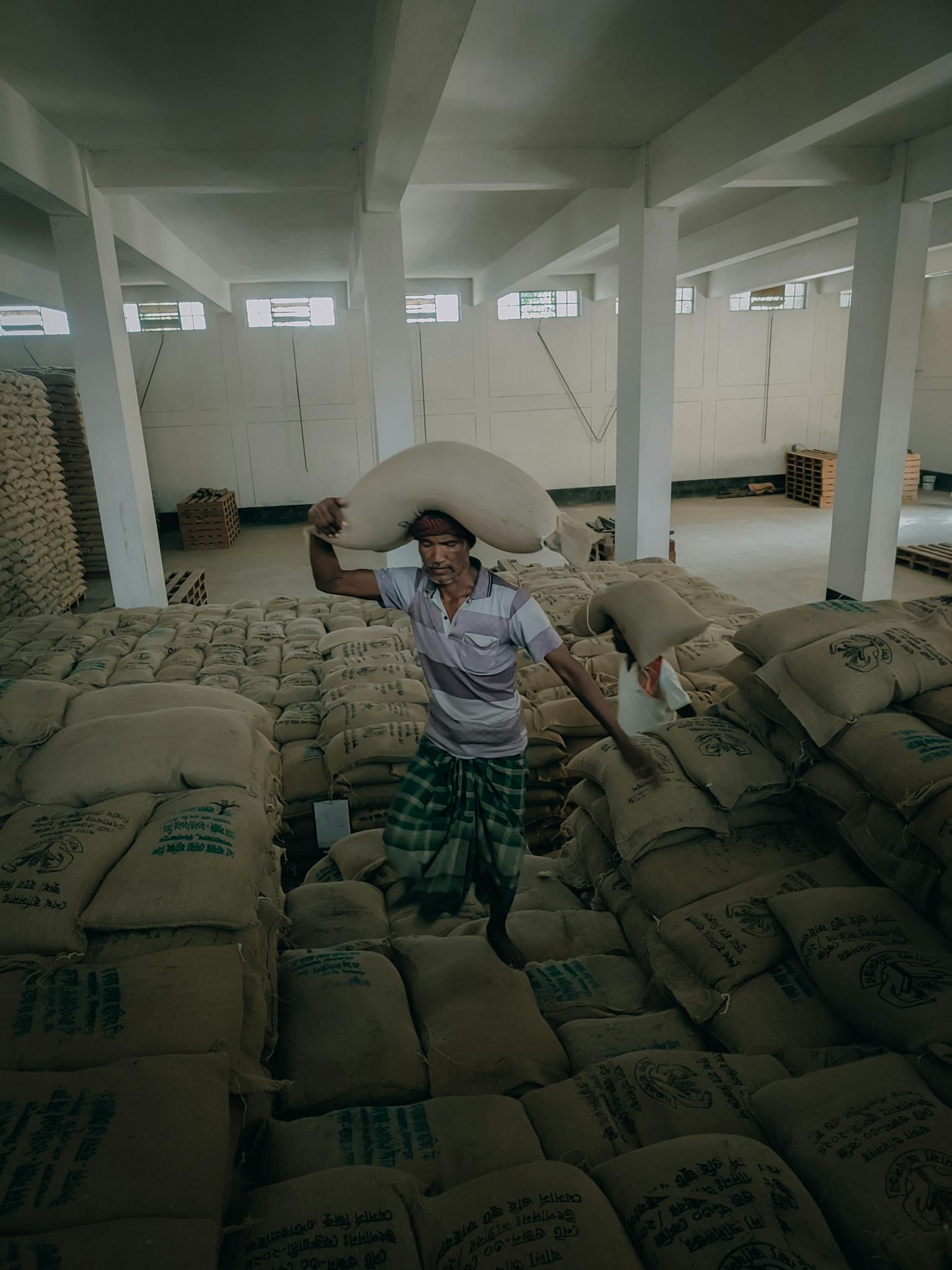 A man carrying a large sack amidst a warehouse full of burlap sacks, showcasing labor and storage.